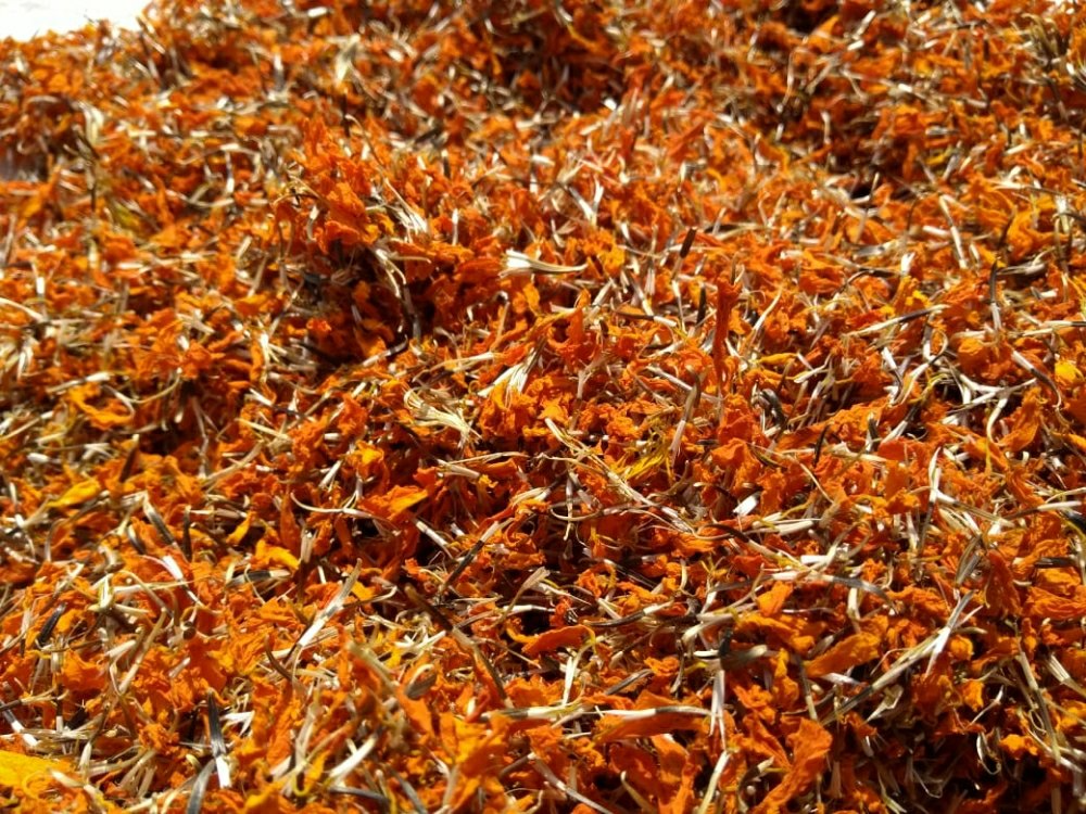 Organic Dried Marigold Petals - Image 2