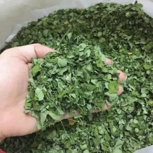 Organic Dried Moringa Leaves