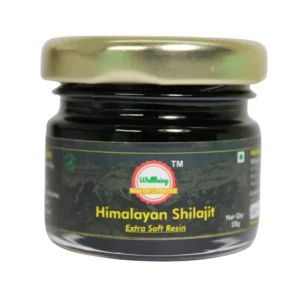 Shilajit/Shilajeet Gold Resin - 20g | 500mg/Serving | 40 Servings | Boost Muscle Growth & Stamina | Contains 24 Carat Gold | 100% Ayurvedic
